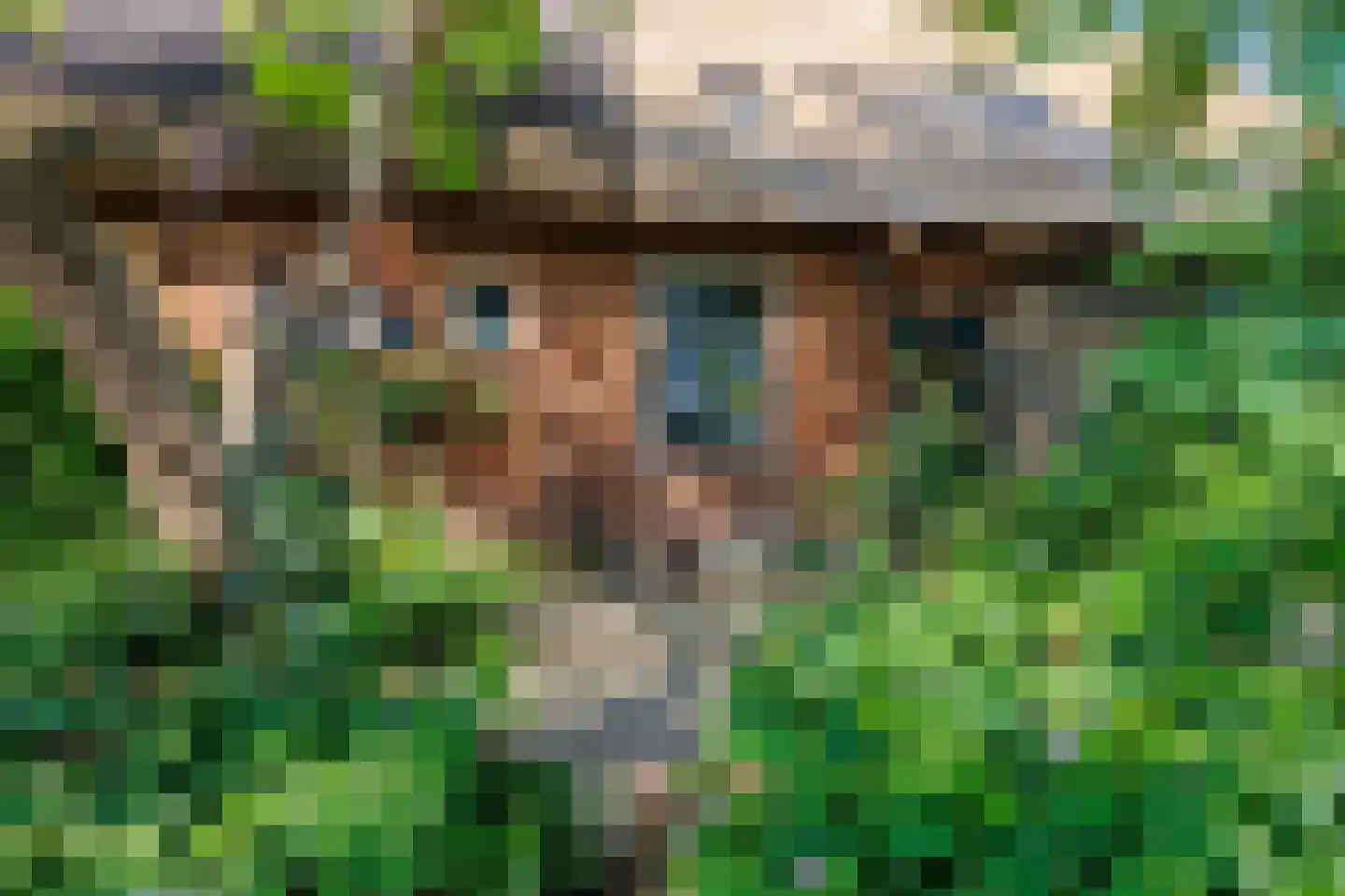 Zelksestraat 2 Horssen thumbnail 55