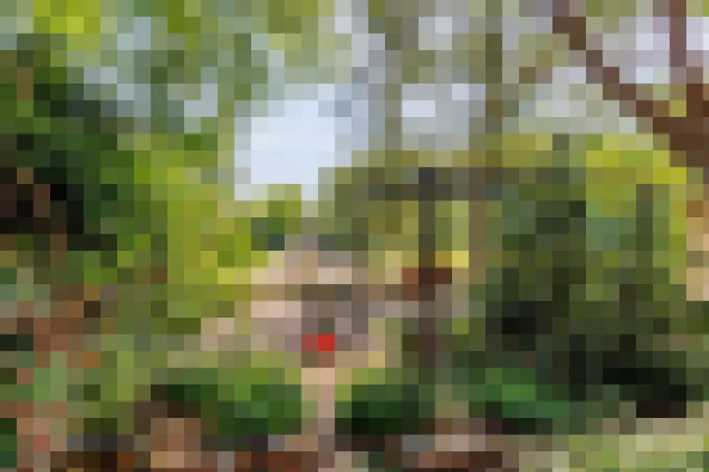 Zelksestraat 2 Horssen thumbnail 56