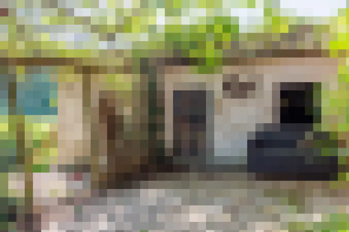 Zelksestraat 2 Horssen thumbnail 58