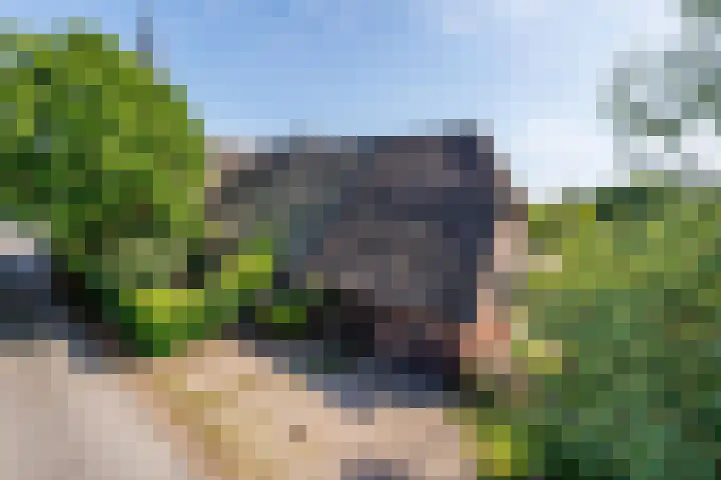 Zelksestraat 2 Horssen thumbnail 59