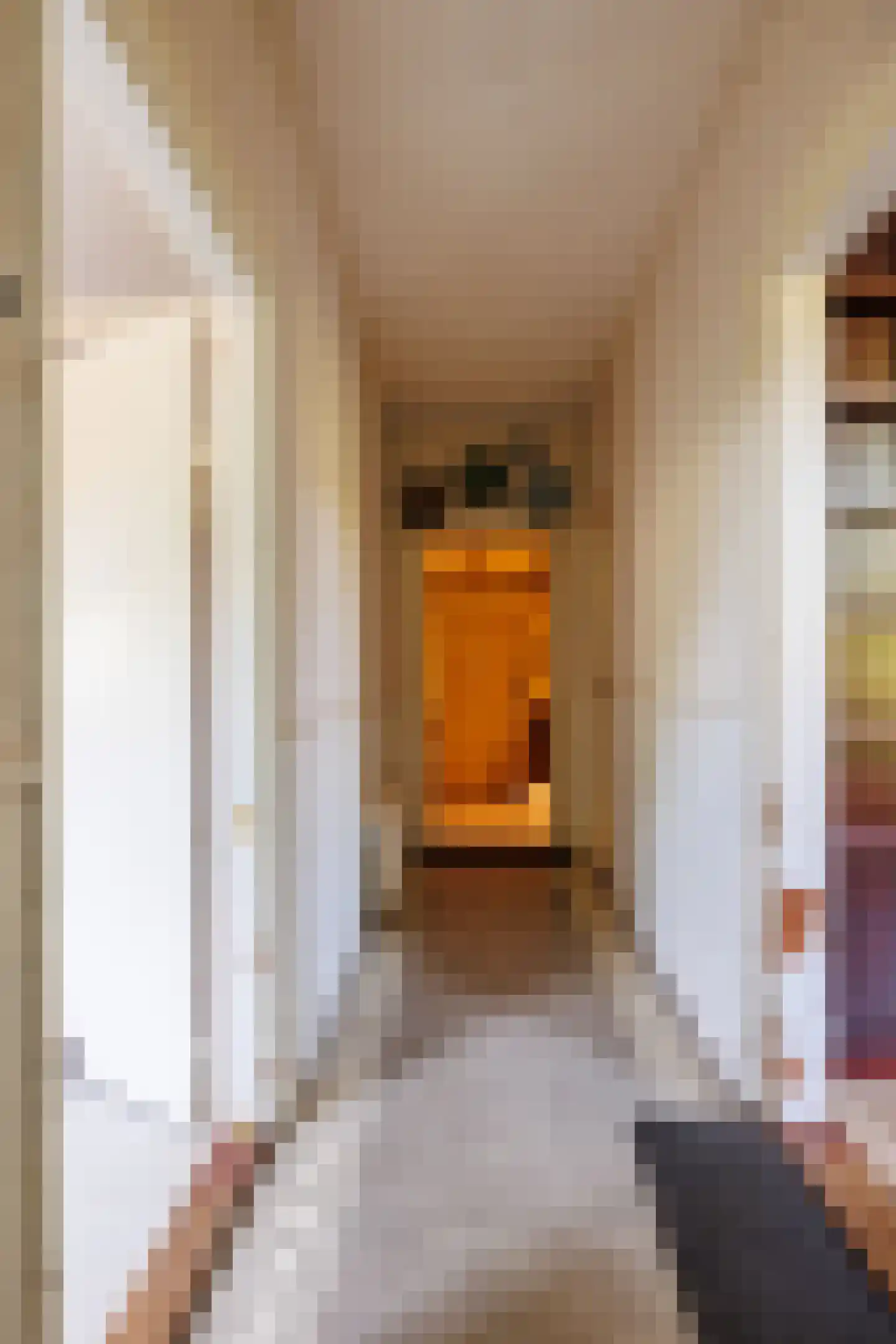 Zelksestraat 2 Horssen thumbnail 6