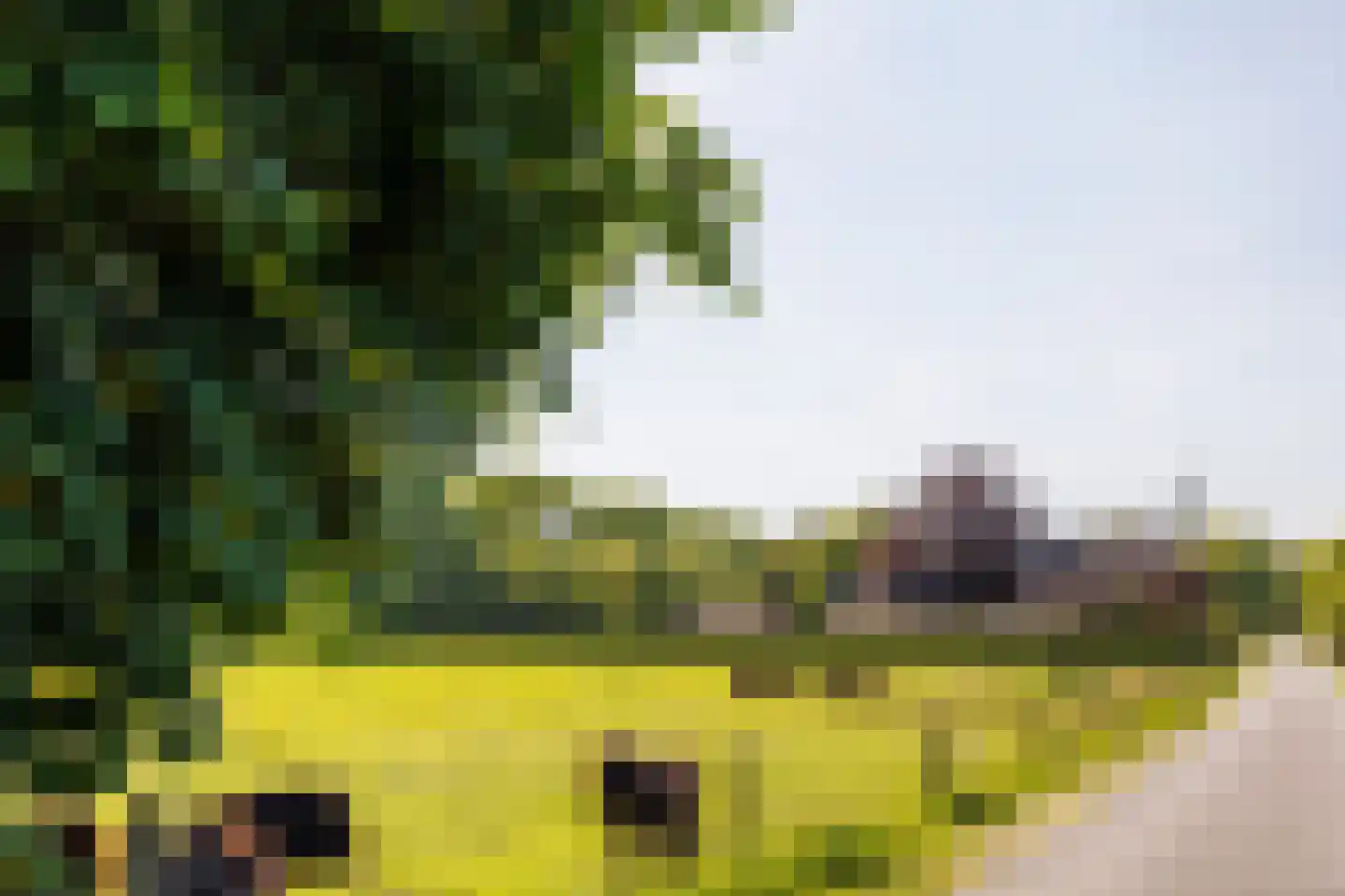 Zelksestraat 2 Horssen thumbnail 62