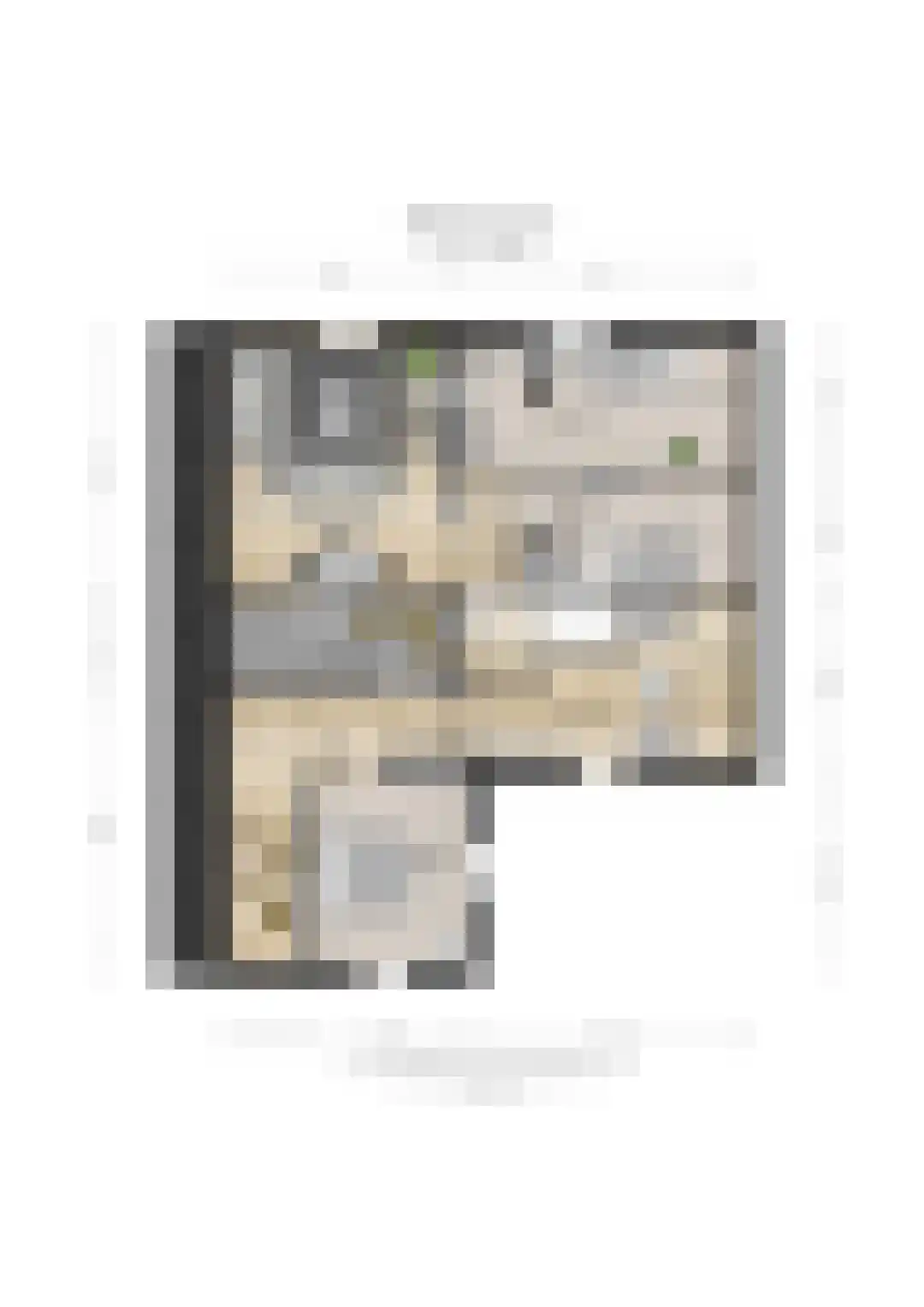 Zelksestraat 2 Horssen thumbnail 66
