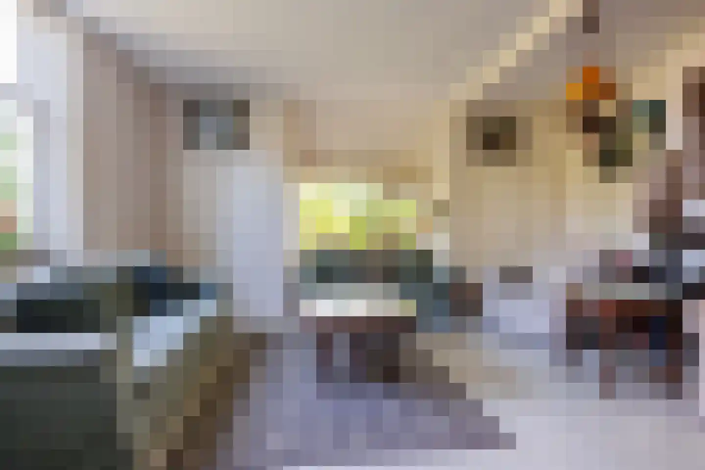 Zelksestraat 2 Horssen thumbnail 7