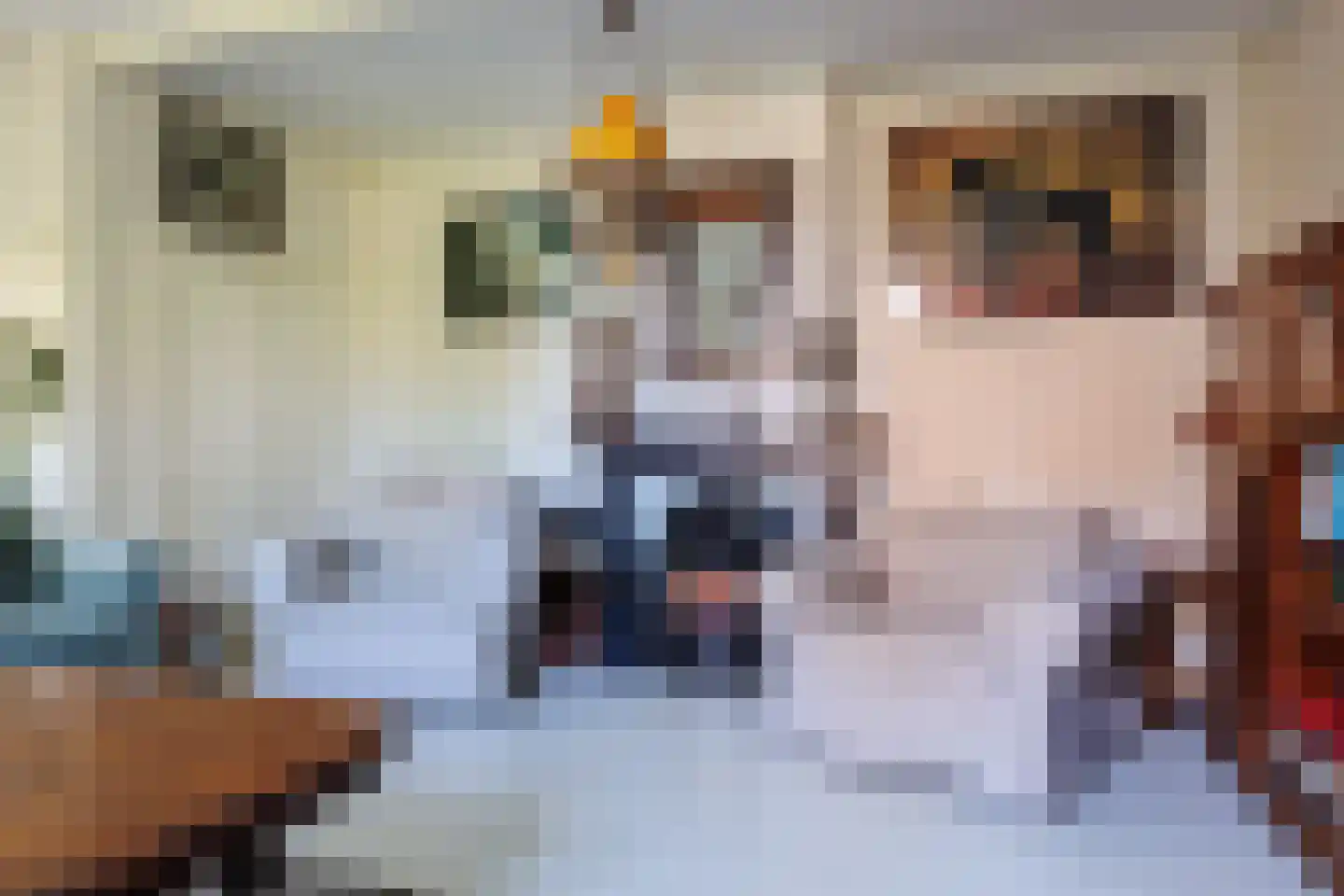 Zelksestraat 2 Horssen thumbnail 8