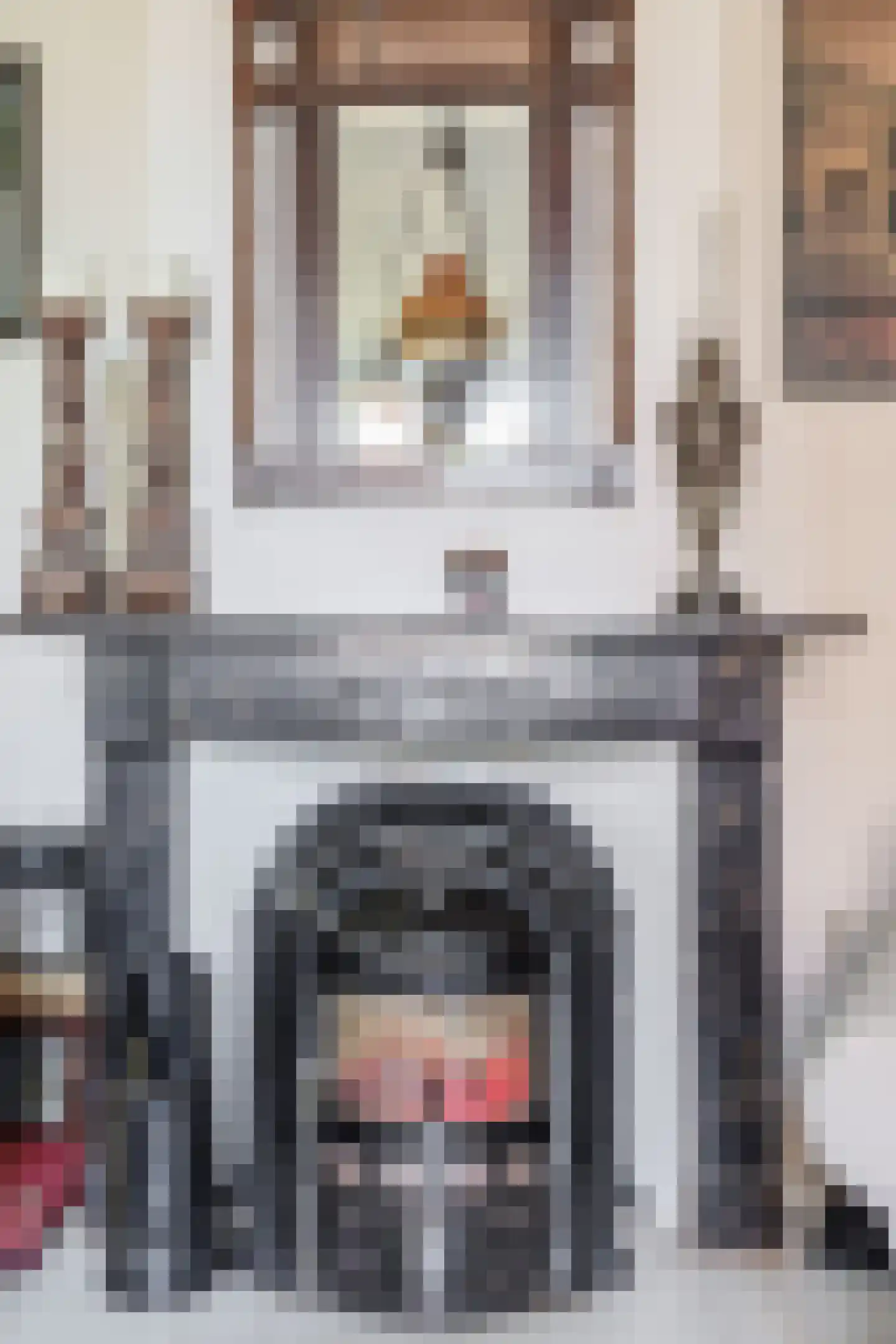 Zelksestraat 2 Horssen thumbnail 9