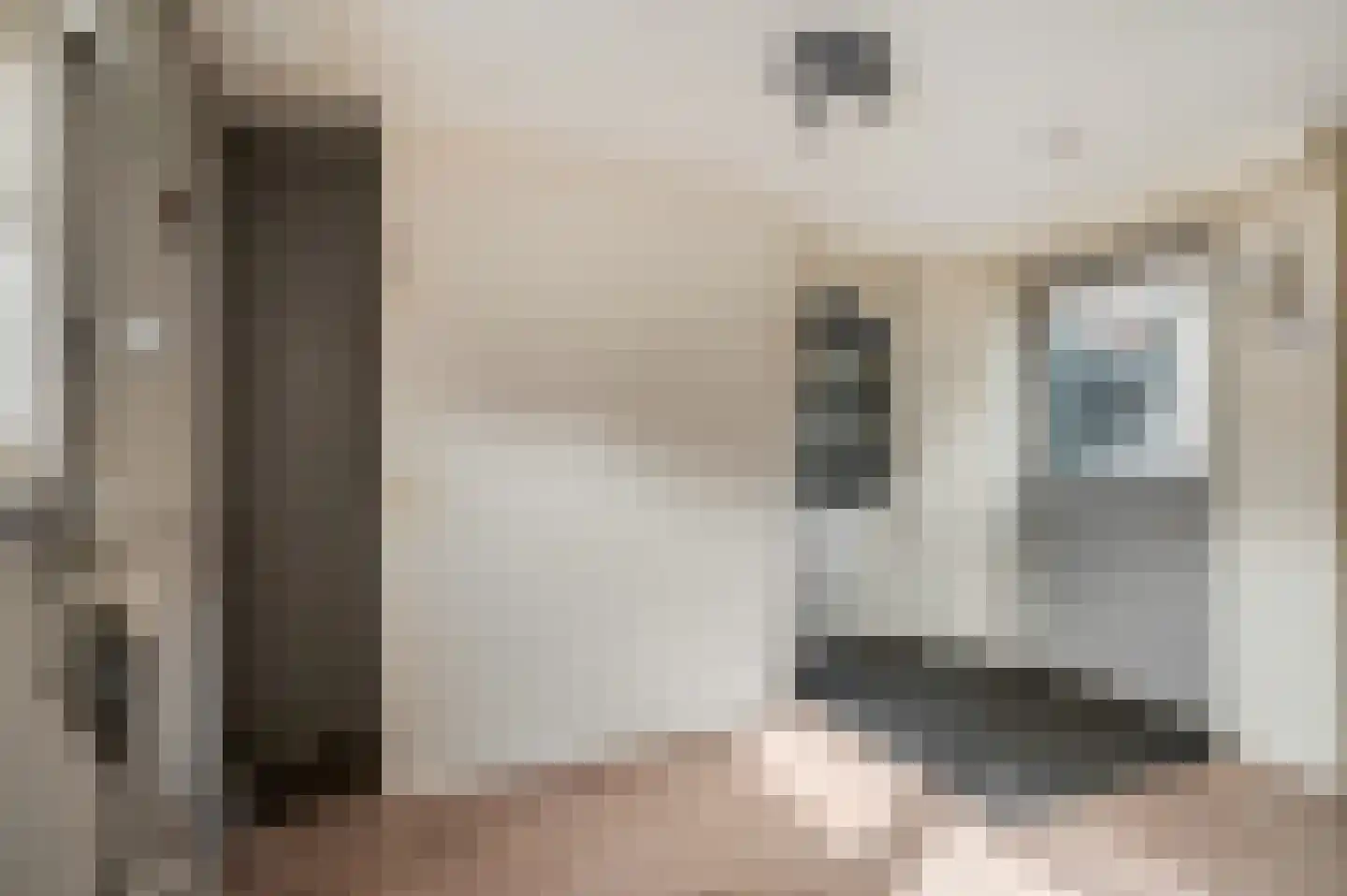 Zelkweg 7 Dodewaard thumbnail 25