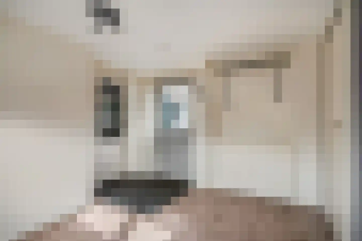 Zelkweg 7 Dodewaard thumbnail 26
