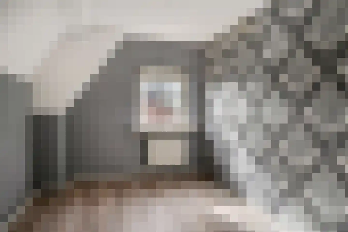 Zelkweg 7 Dodewaard thumbnail 28