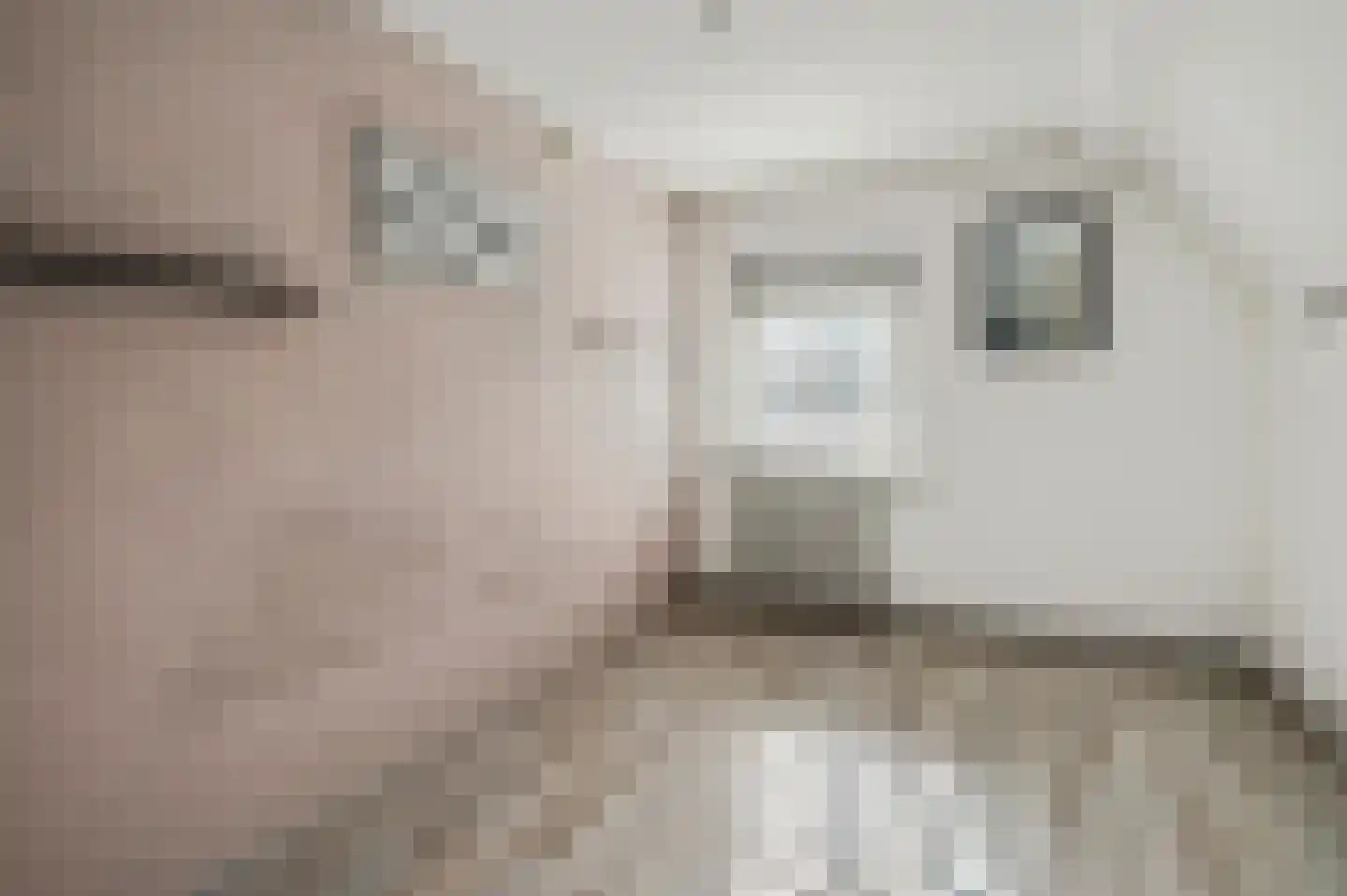 Zelkweg 7 Dodewaard thumbnail 33