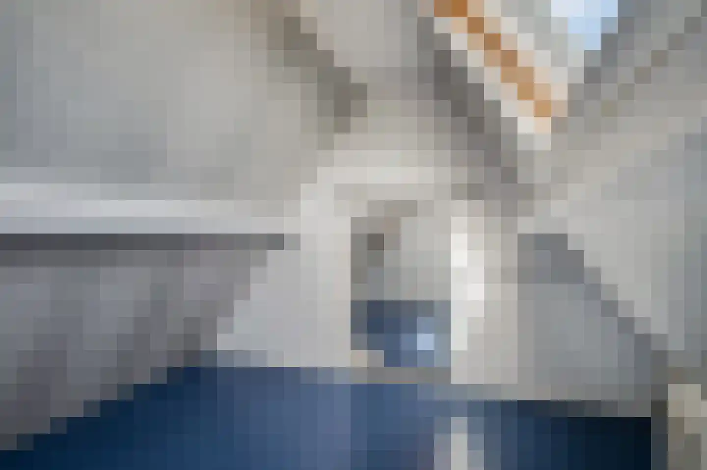 Zelkweg 7 Dodewaard thumbnail 40