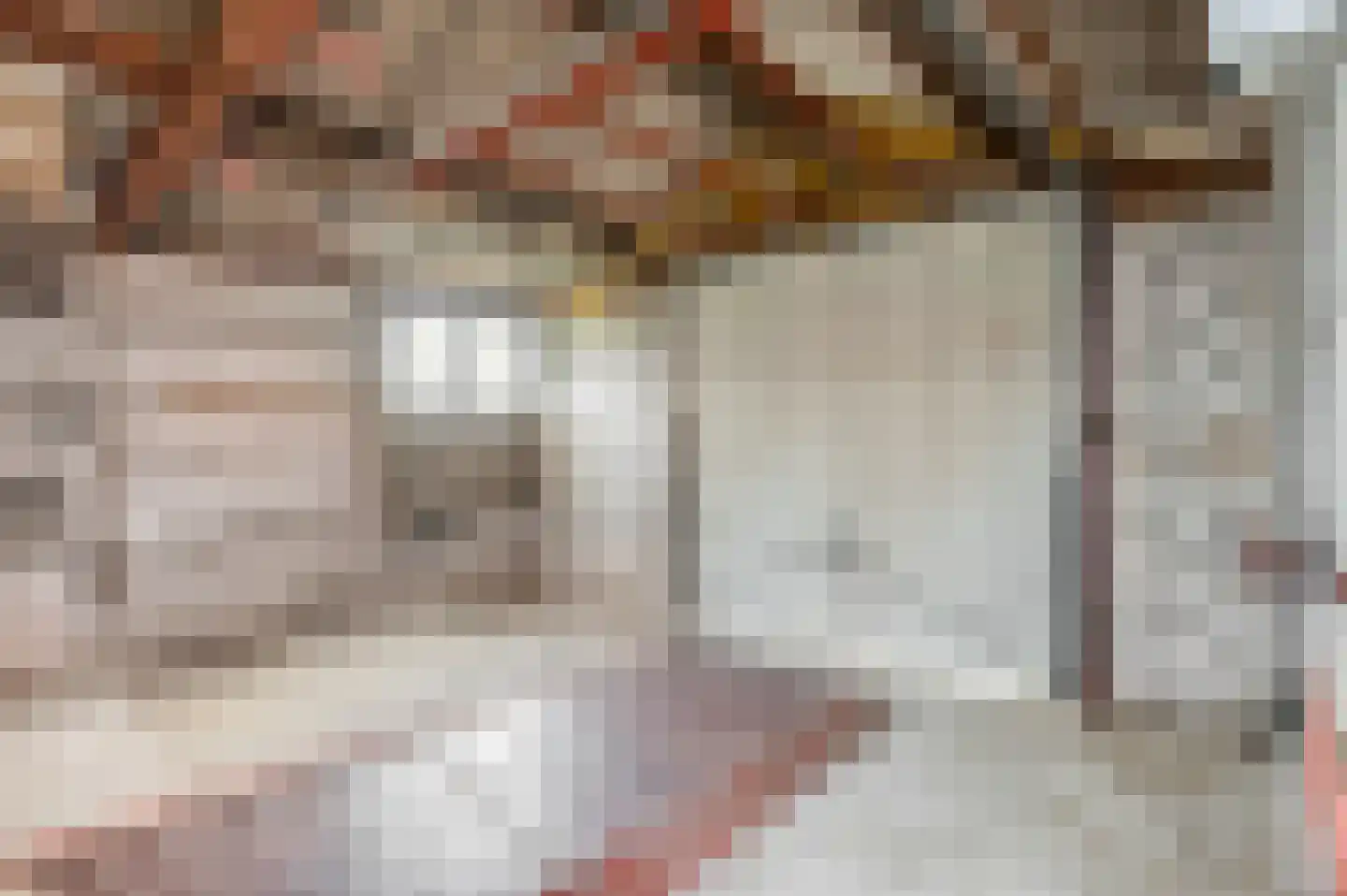 Zelkweg 7 Dodewaard thumbnail 51