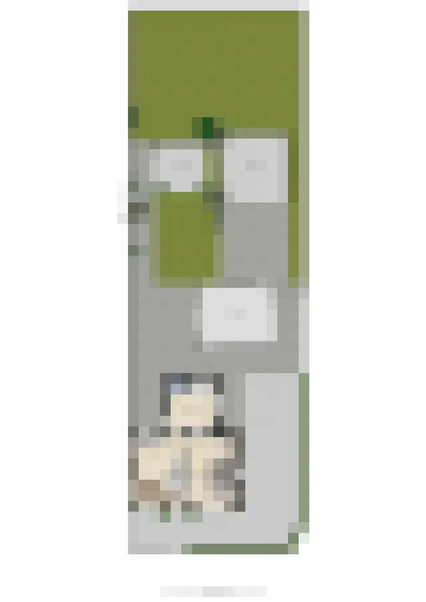 Zelkweg 7 Dodewaard thumbnail 55