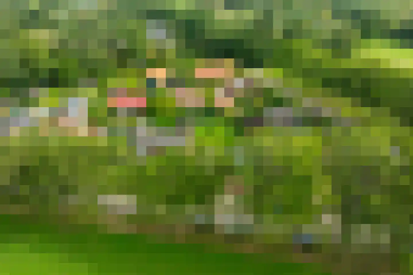 Zelledijk 10 Hengelo (Gld) thumbnail 14