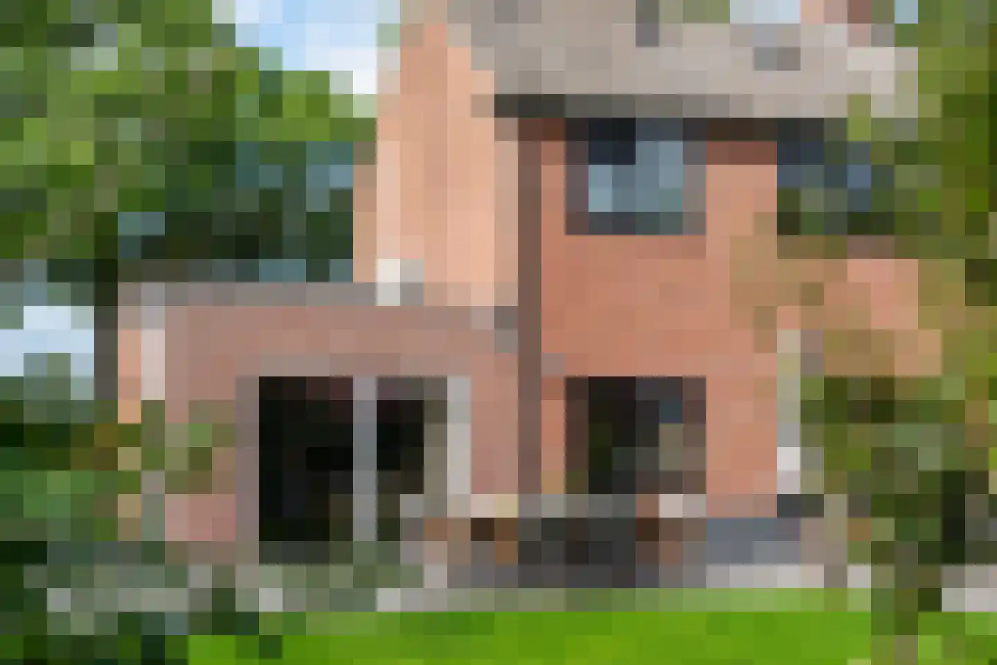 Zelledijk 10 Hengelo (Gld) thumbnail 46