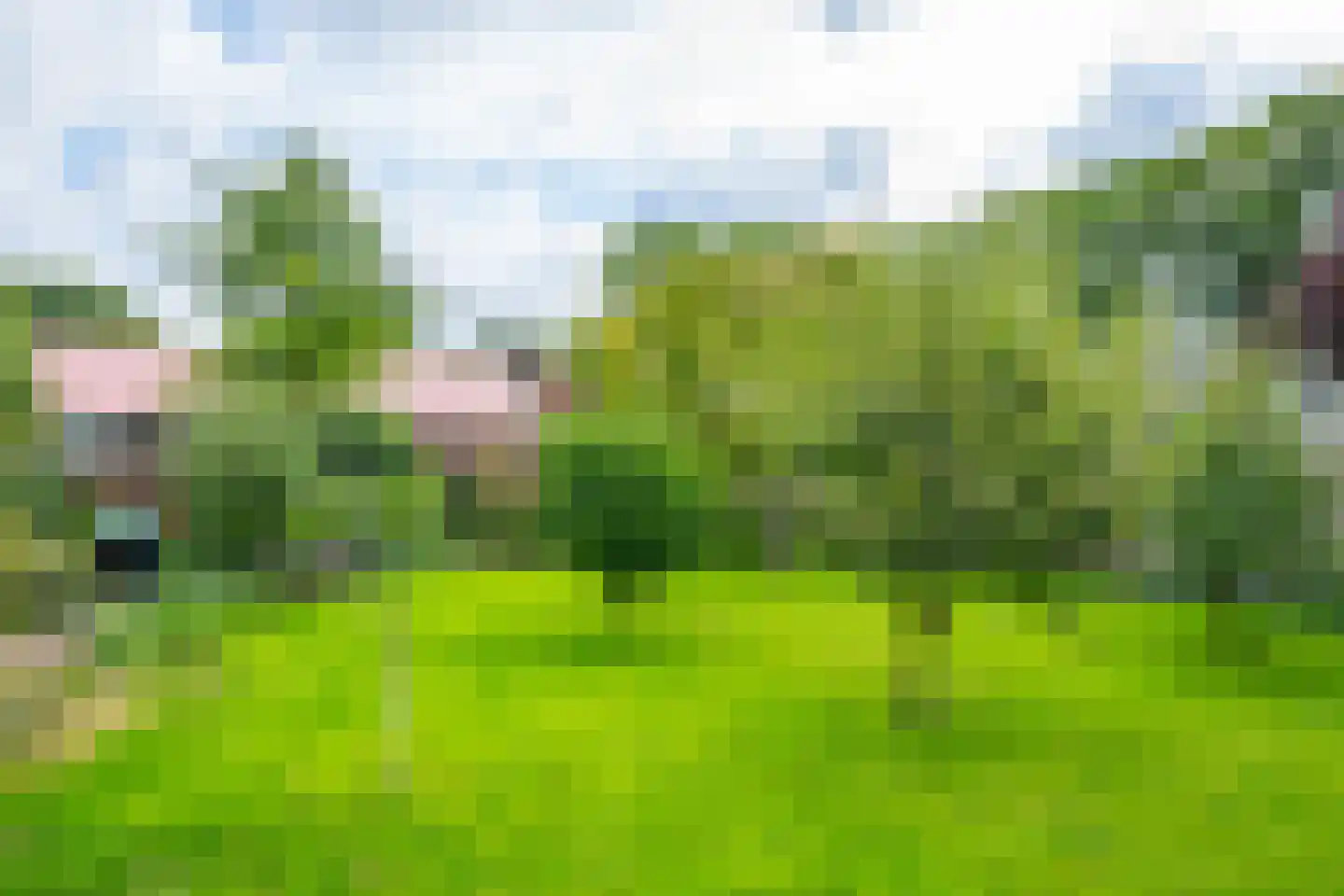 Zelledijk 10 Hengelo (Gld) thumbnail 52