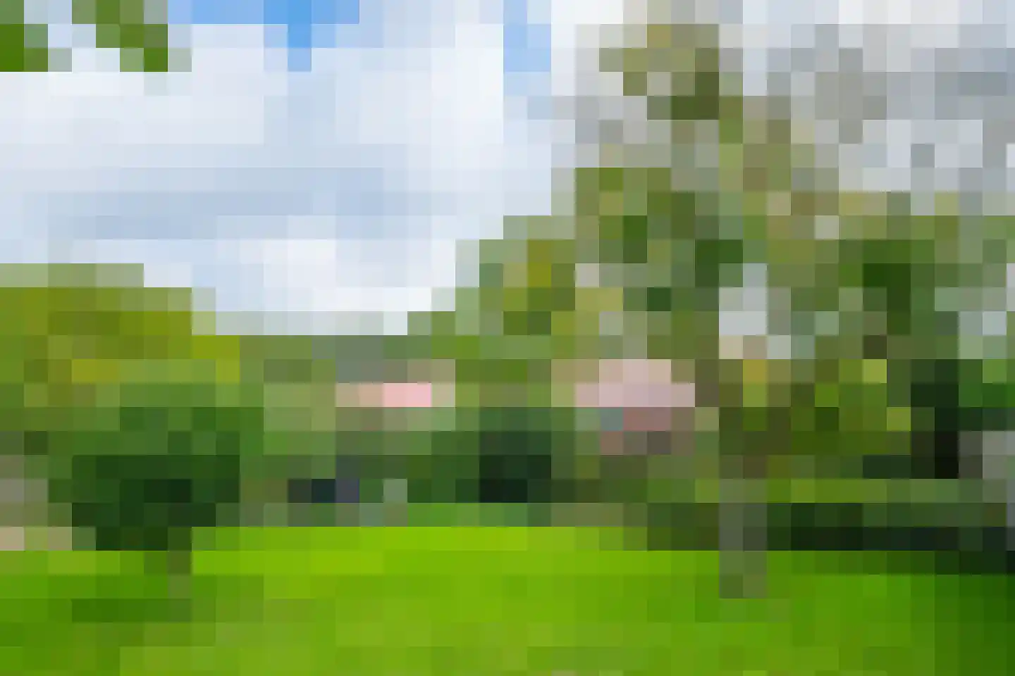 Zelledijk 10 Hengelo (Gld) thumbnail 53