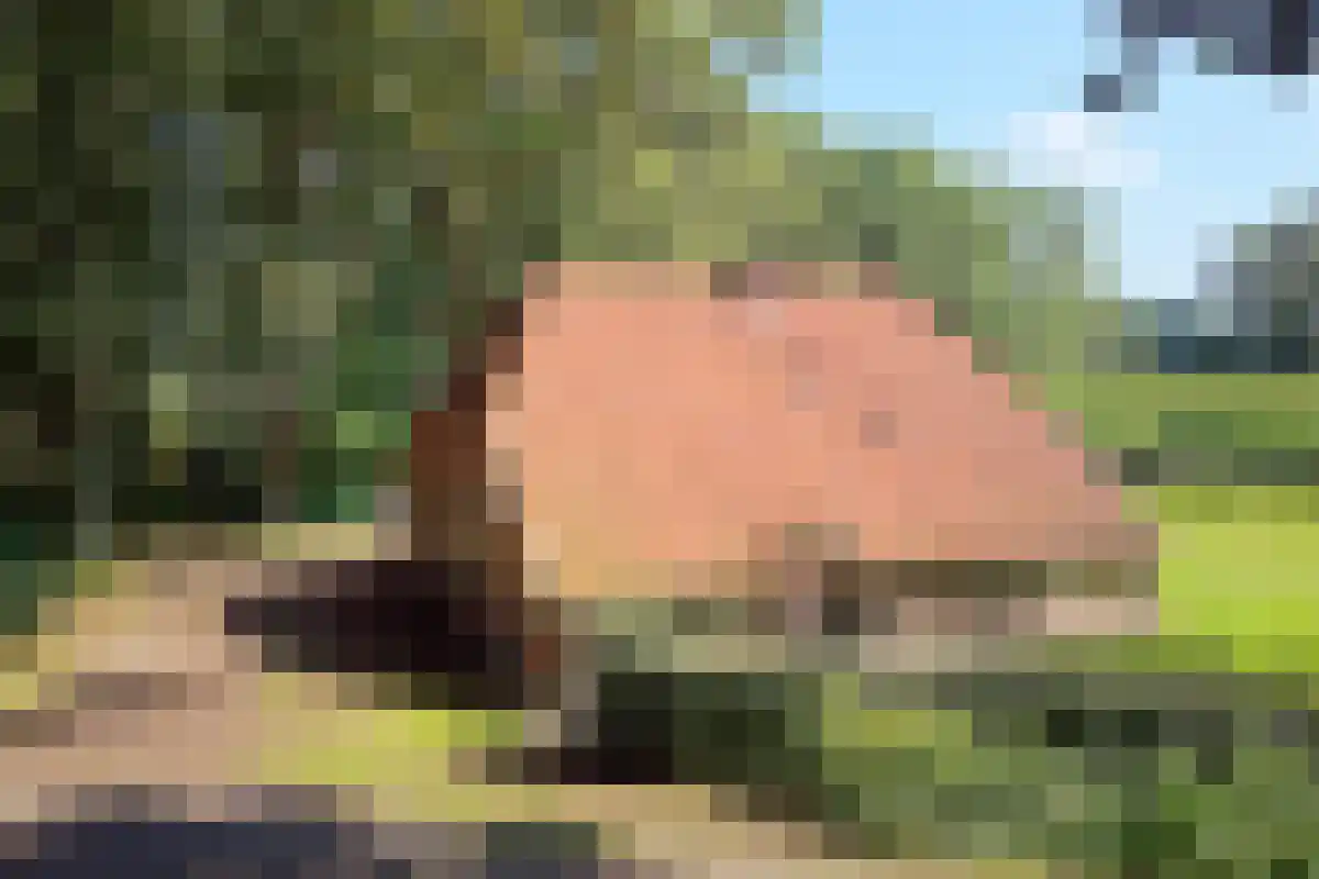 Zelledijk 42 Hengelo (Gld) thumbnail 5