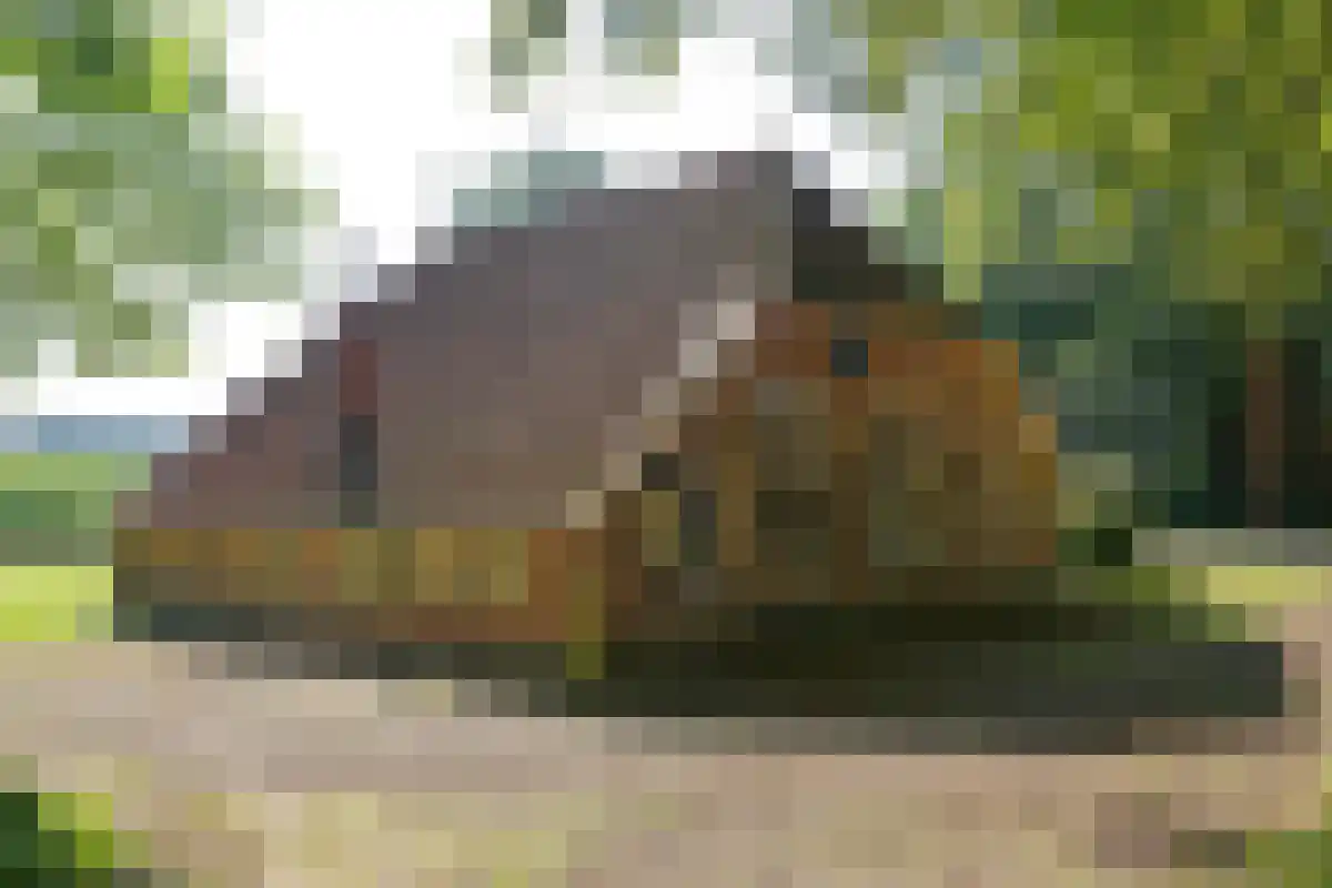 Zelledijk 42 Hengelo (Gld) thumbnail 7