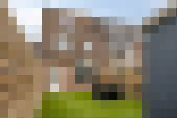 Zellersacker 1407 Nijmegen thumbnail 30