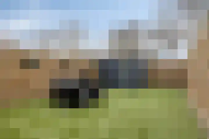 Zellersacker 1407 Nijmegen thumbnail 32