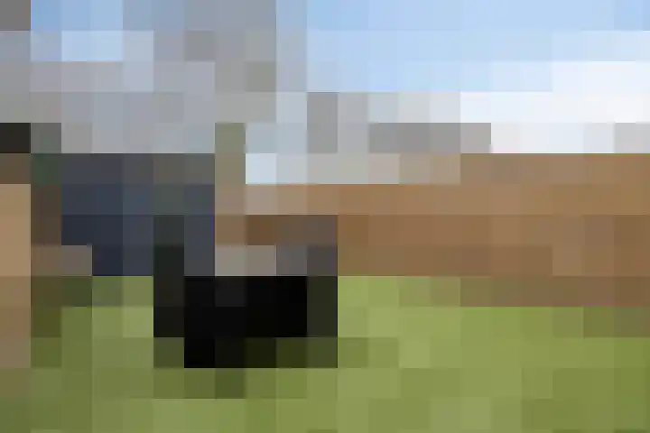 Zellersacker 1407 Nijmegen thumbnail 34
