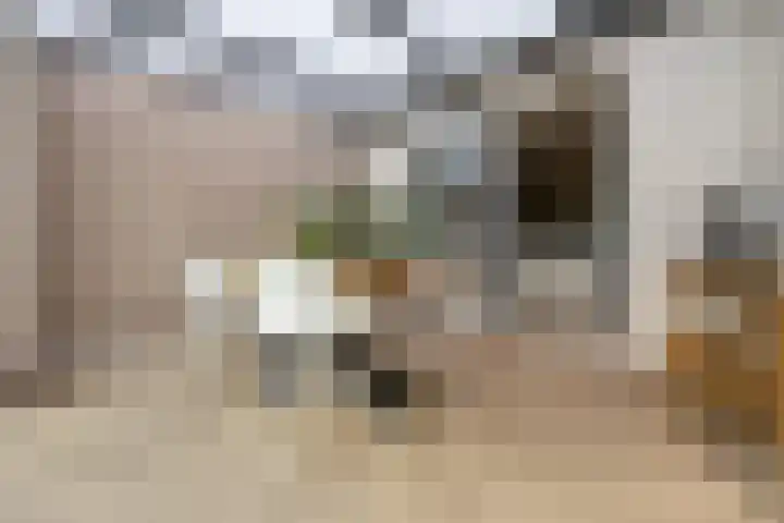 Zellersacker 1413 Nijmegen thumbnail 13