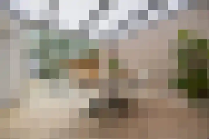 Zellersacker 1413 Nijmegen thumbnail 14