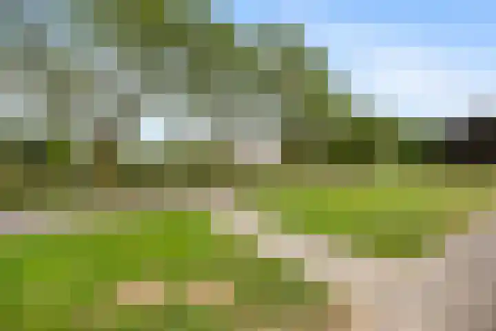 Zellersacker 1413 Nijmegen thumbnail 39