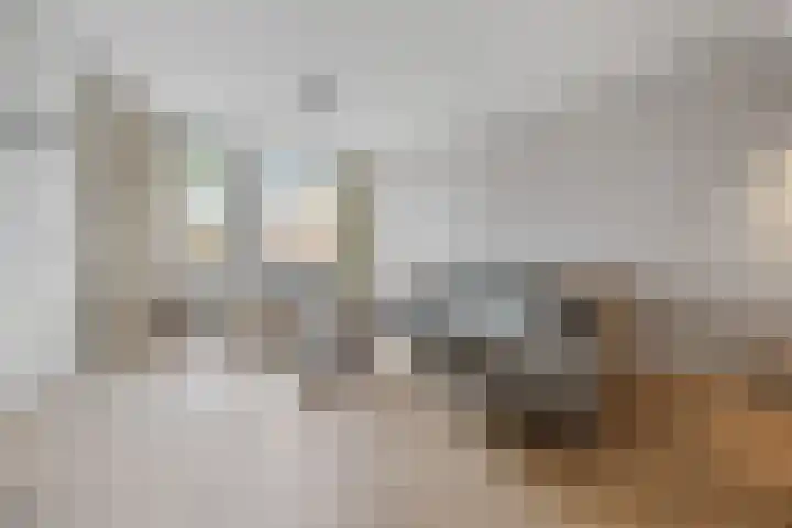 Zellersacker 1413 Nijmegen thumbnail 4