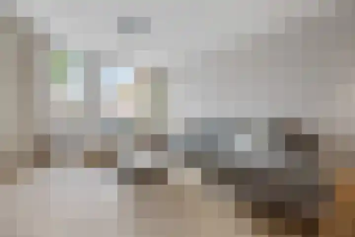 Zellersacker 1413 Nijmegen thumbnail 6
