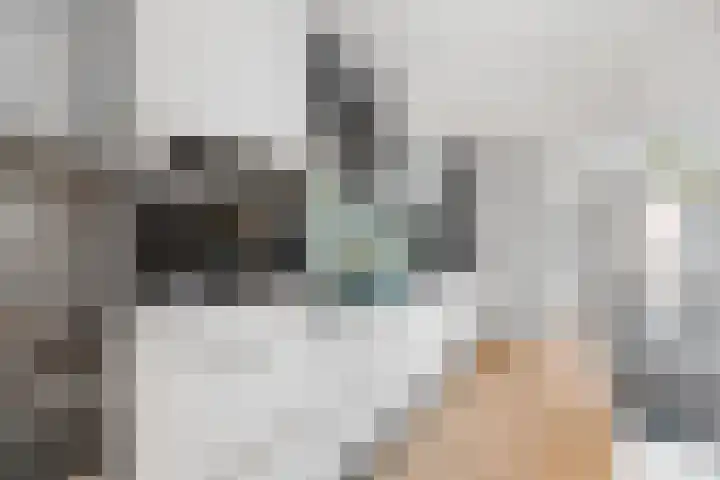 Zellersacker 1413 Nijmegen thumbnail 8