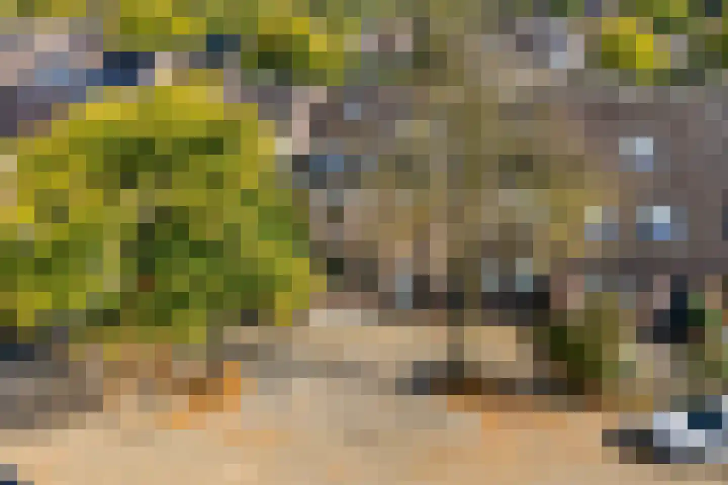 Zellersacker 1538 Nijmegen thumbnail 35