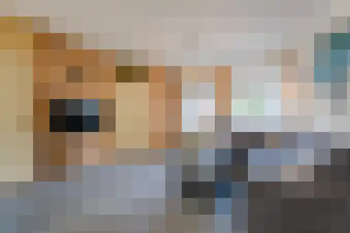 Zellersacker 2112 Nijmegen thumbnail 10