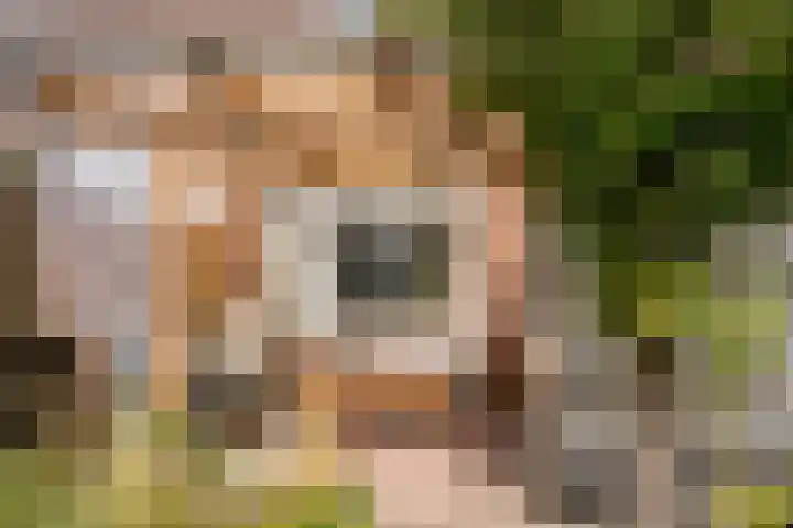 Zellersacker 2112 Nijmegen thumbnail 27