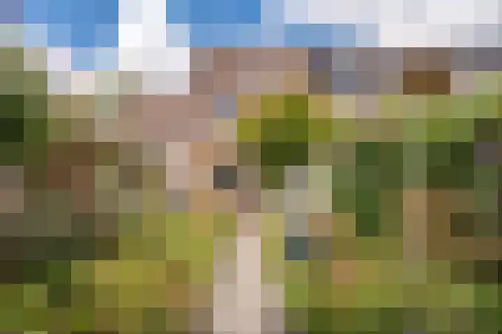 Zellersacker 2112 Nijmegen thumbnail 28