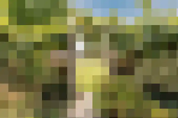 Zellersacker 2112 Nijmegen thumbnail 30