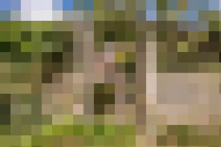 Zellersacker 2112 Nijmegen thumbnail 31