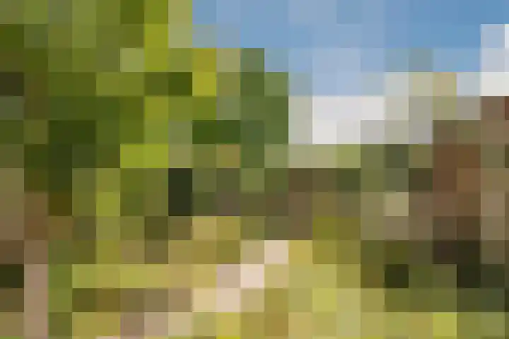 Zellersacker 2112 Nijmegen thumbnail 4