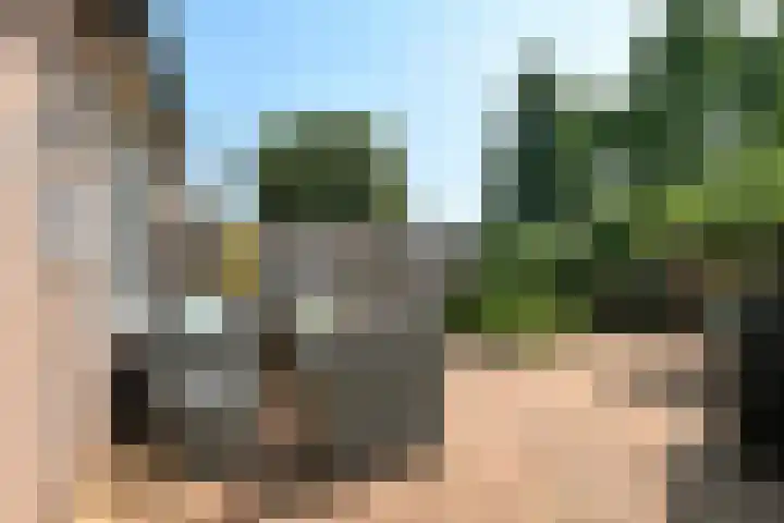 Zellersacker 2120 Nijmegen thumbnail 33