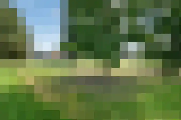 Zellersacker 2120 Nijmegen thumbnail 39