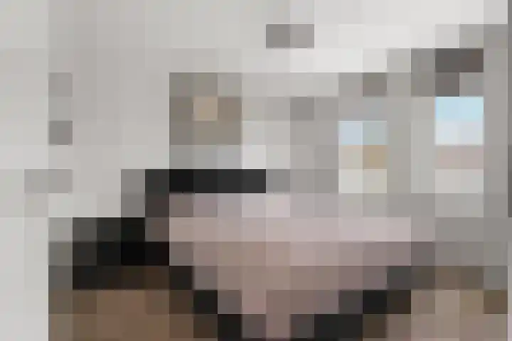 Zellersacker 2134 Nijmegen thumbnail 27