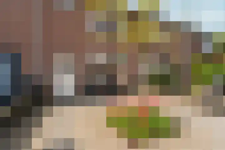 Zellersacker 2134 Nijmegen thumbnail 4