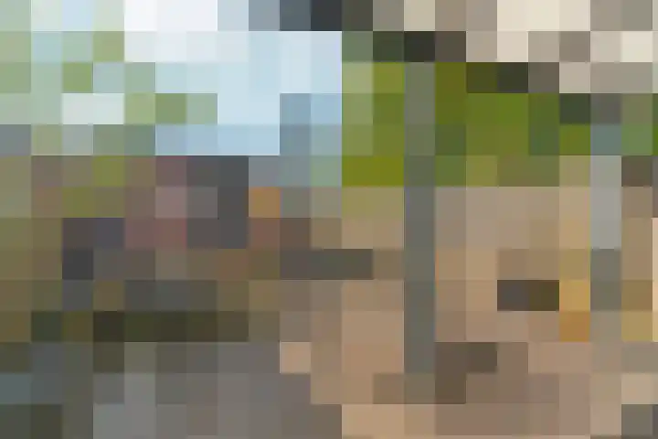 Zellersacker 2134 Nijmegen thumbnail 44