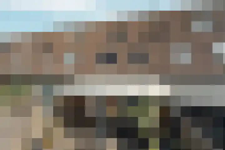 Zellersacker 2134 Nijmegen thumbnail 50