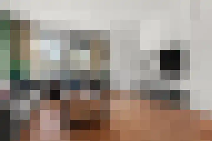 Zellersacker 2134 Nijmegen thumbnail 8