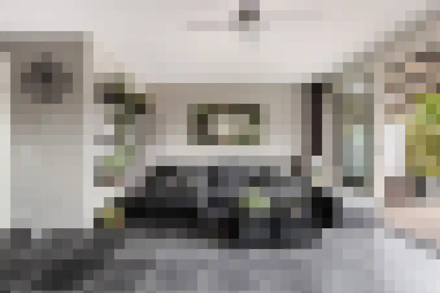 Zellingkade 11 Gouderak thumbnail 11
