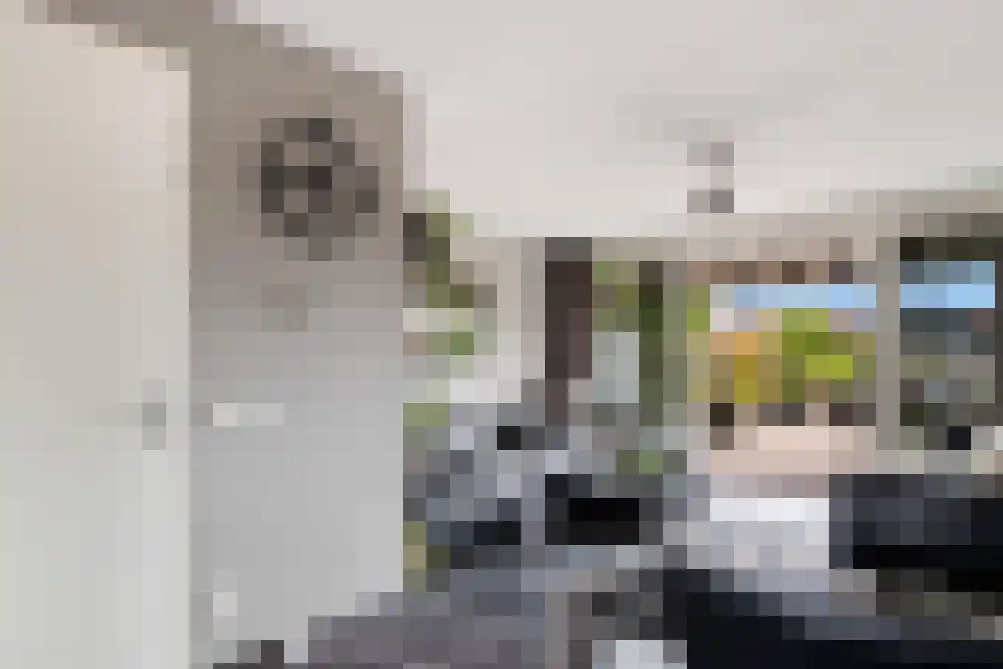 Zellingkade 11 Gouderak thumbnail 12