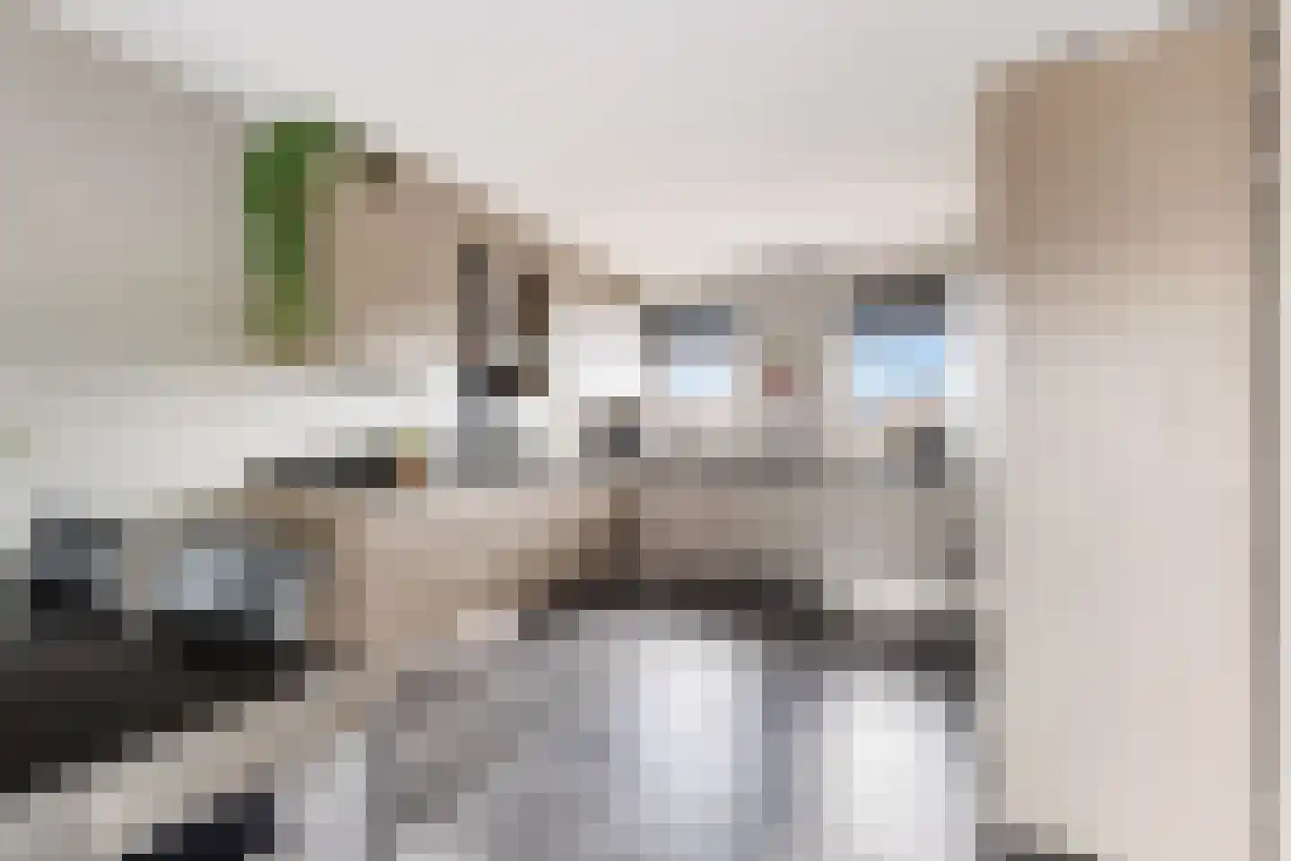 Zellingkade 11 Gouderak thumbnail 15