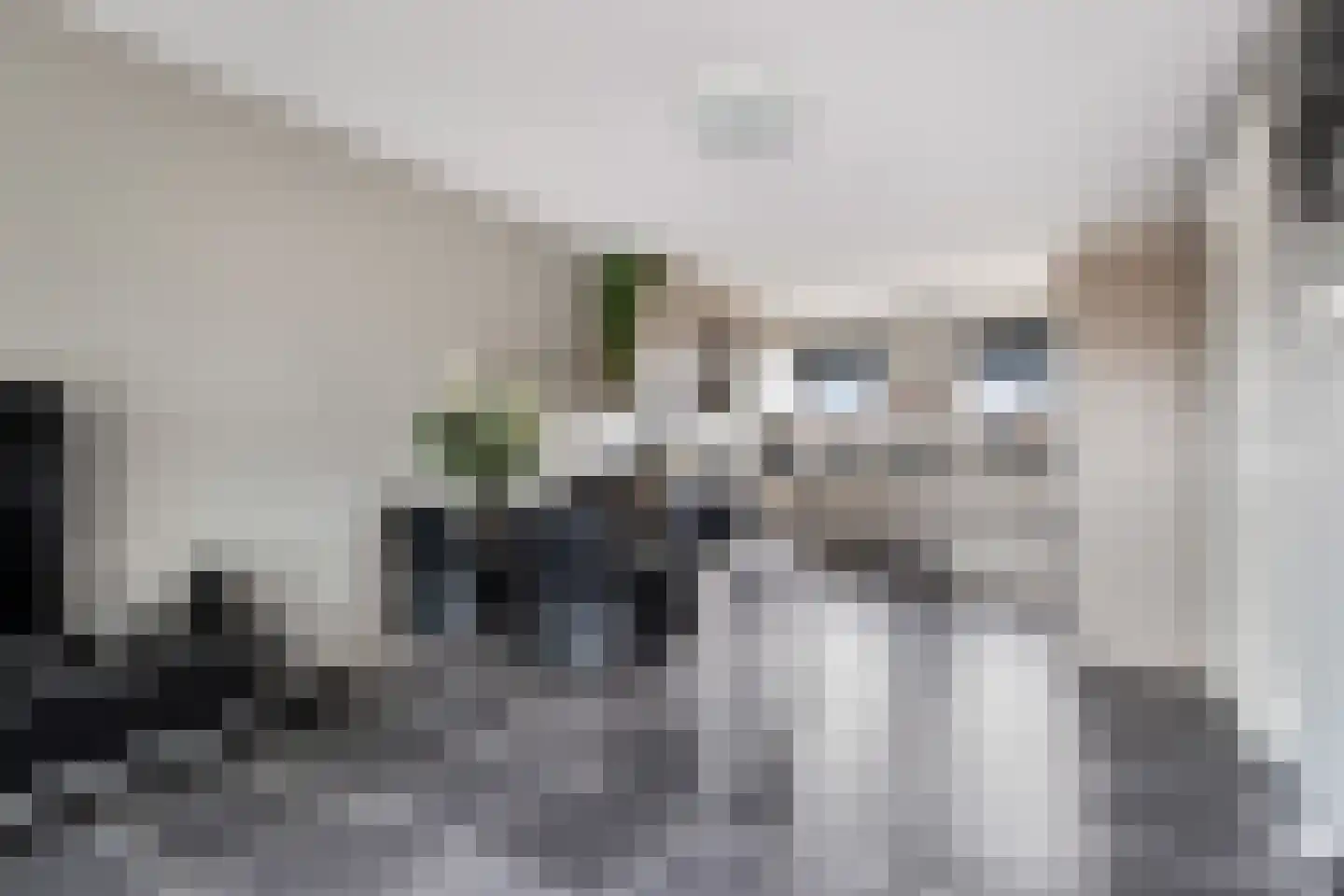 Zellingkade 11 Gouderak thumbnail 16